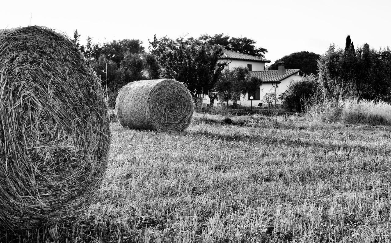 Orti Di Capalbio Villa Exterior foto